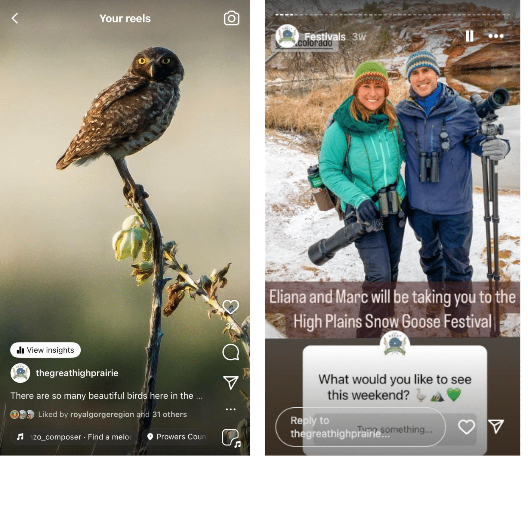 Birding in the Great High Prairie Social Media Reels and stories