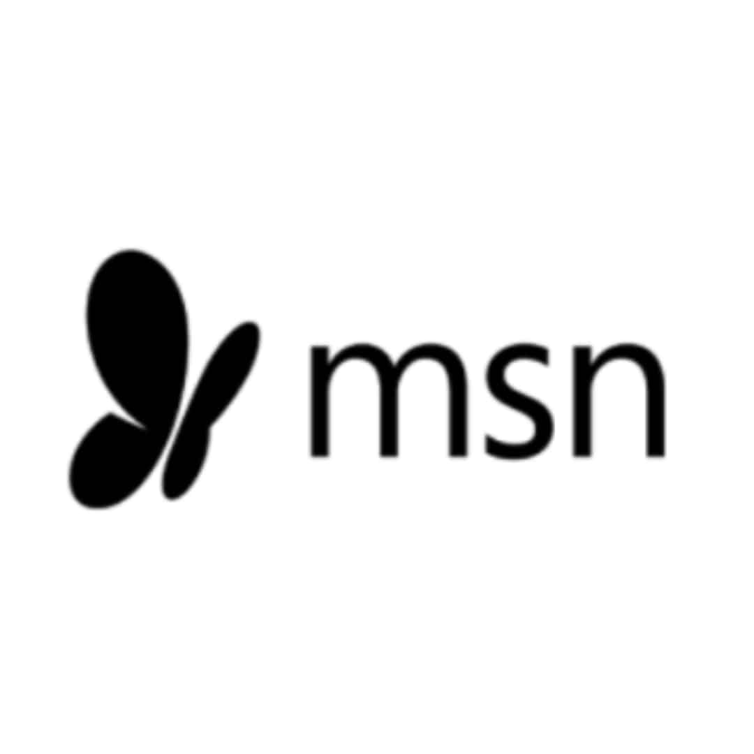 MSN Logo