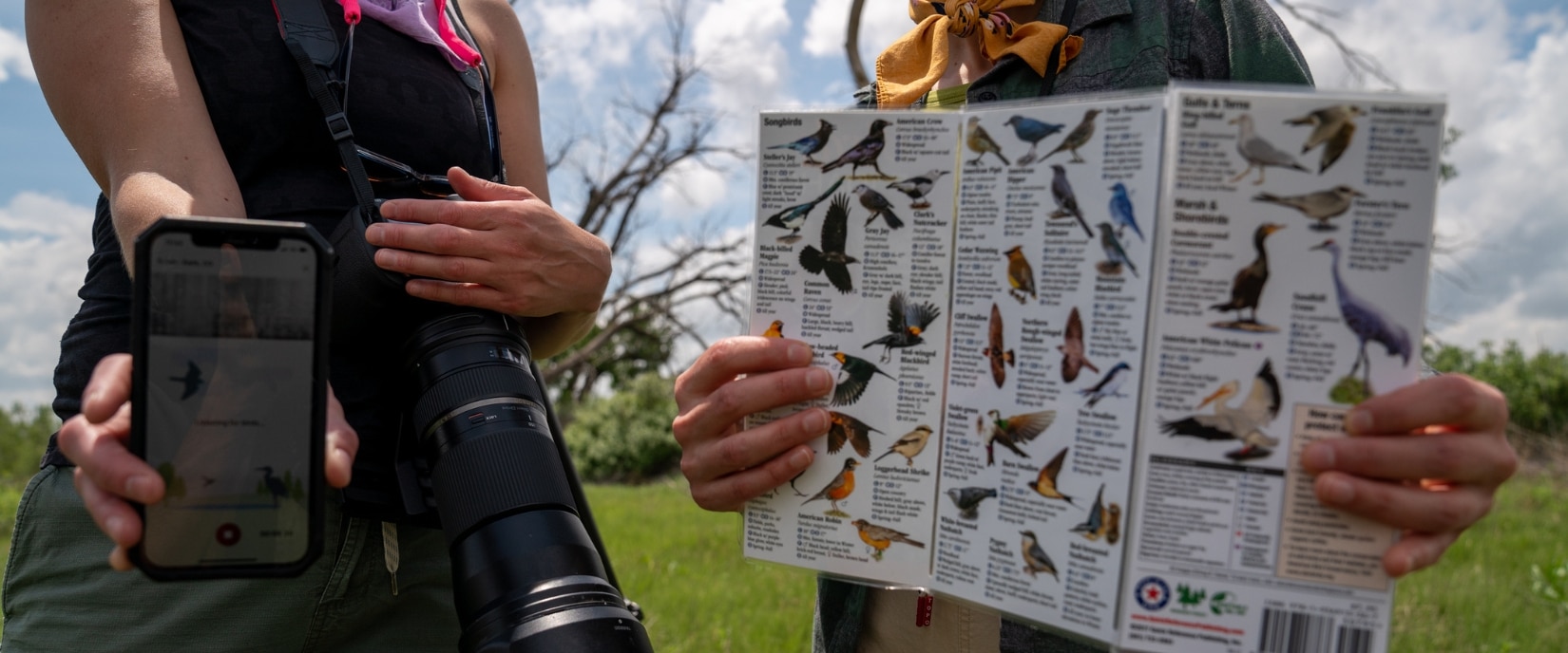 birding map and birding guide on phone