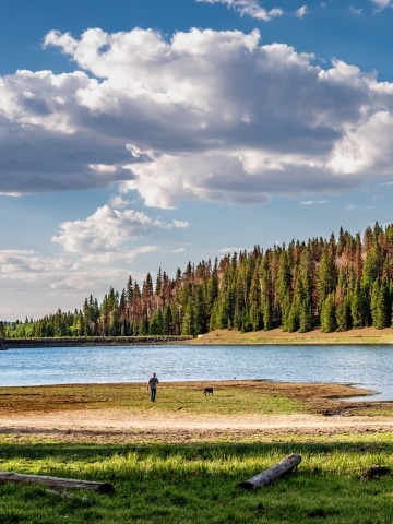 man walking with dog among blue lake and blue skies